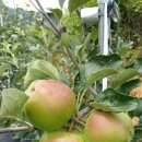 고리봉농장 이미지