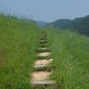 예산-67 이미지