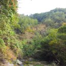 숲속 황토방 펜션 이미지