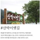 씨엘로 펜션 | 괴산 여행 괴산풀빌라 씨엘로 펜션 101호 후기 충북풀빌라 청주풀빌라 불멍펜션 화양계곡 펜션 히노끼탕...