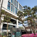 서초힐약국 네이버블로그