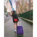 아메리칸투어리스터 캐리어 as 후기 (해외구매 상품)