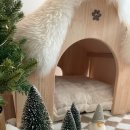 제니엔 코코 펫 이미지