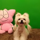 연성동주민센터 이미지