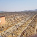 대련농장 이미지