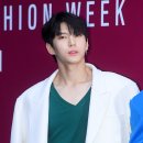 레오 이미지