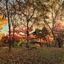 일동라스베가스 공원 이미지