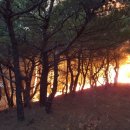 봉전1리 이미지