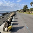 표선동물병원 이미지