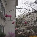 수리제 이미지
