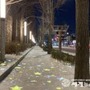 송현로 이미지