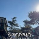 대천통나무리조트 이미지