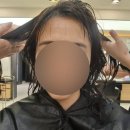 효림프로세스