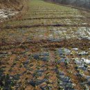 낙안농장 이미지