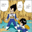 바라기 이미지