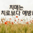 미래로교육연구소