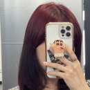 레드 - 순천시 장선배기2길 18 | [대구 중구] 대구염색잘하는곳 오아리스헤어 레드 염색 후기