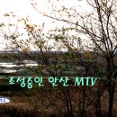 MTV공원 이미지