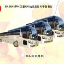 하나항공투어