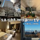 세븐일레븐 영종스카이프라자 | [도쿄/신주쿠] 게이오플라자 호텔 (공항리무진버스, 디즈니무료셔틀)