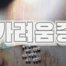 연세유리소아과 네이버블로그