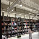 더홀릭 | 부천보드게임카페 더홀릭 방문후기 아이와 실내데이트 끝판왕