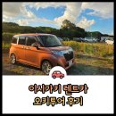 (주)하나렌트카 | 이시가키 렌트카 오키투어 예약, 비용 후기