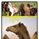 (주)자연의 신비 이미지