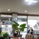 대전 평양냉면 [한마음냉면] 진잠 내돈내산 솔직후기-백반기행맛집
