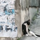 비룡기획