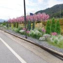 나들정원 이미지