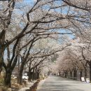 광장39호 이미지