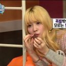 모모번역 중앙일보