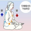 [단월드/단학]단월드 수련 세가지 원리정리~ 이미지