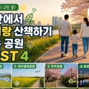 민주공원노동조합 | 부산에서 아이랑 산책하기 좋은 공원 BEST 4