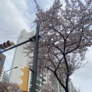 남동중학교 안 이미지