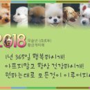 행복하시개 이미지