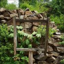 허브빌리지(Herb village) 이미지