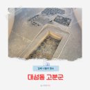 대성동고분군(공원등2) | 부산근교 가볼만한곳 김해 대성동고분군