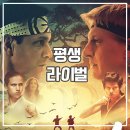 삼각태권도 | 코브라 카이 후기 넷플릭스 액션 추천 태권도 역사?