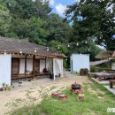 [울산/울주군] 반려동물 동반 시골 감성 카페 &#34;문수별당&#34;✨ 내돈내산 후기