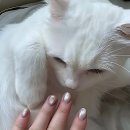 진흥더블파크(아) 이미지