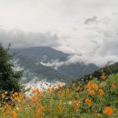 견불동산장 이미지