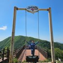 라이브죤 이미지