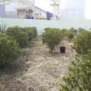 문상농장 이미지