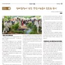 정선이야기 이미지