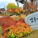 평택 소풍정원 이미지