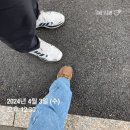 하남 감일지구 내맘대로 분위기 임장(feat 무순위줍줍 감일푸르지오마크베르 위주)
