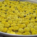 향교농장 이미지