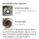 메카닉모터스 이미지